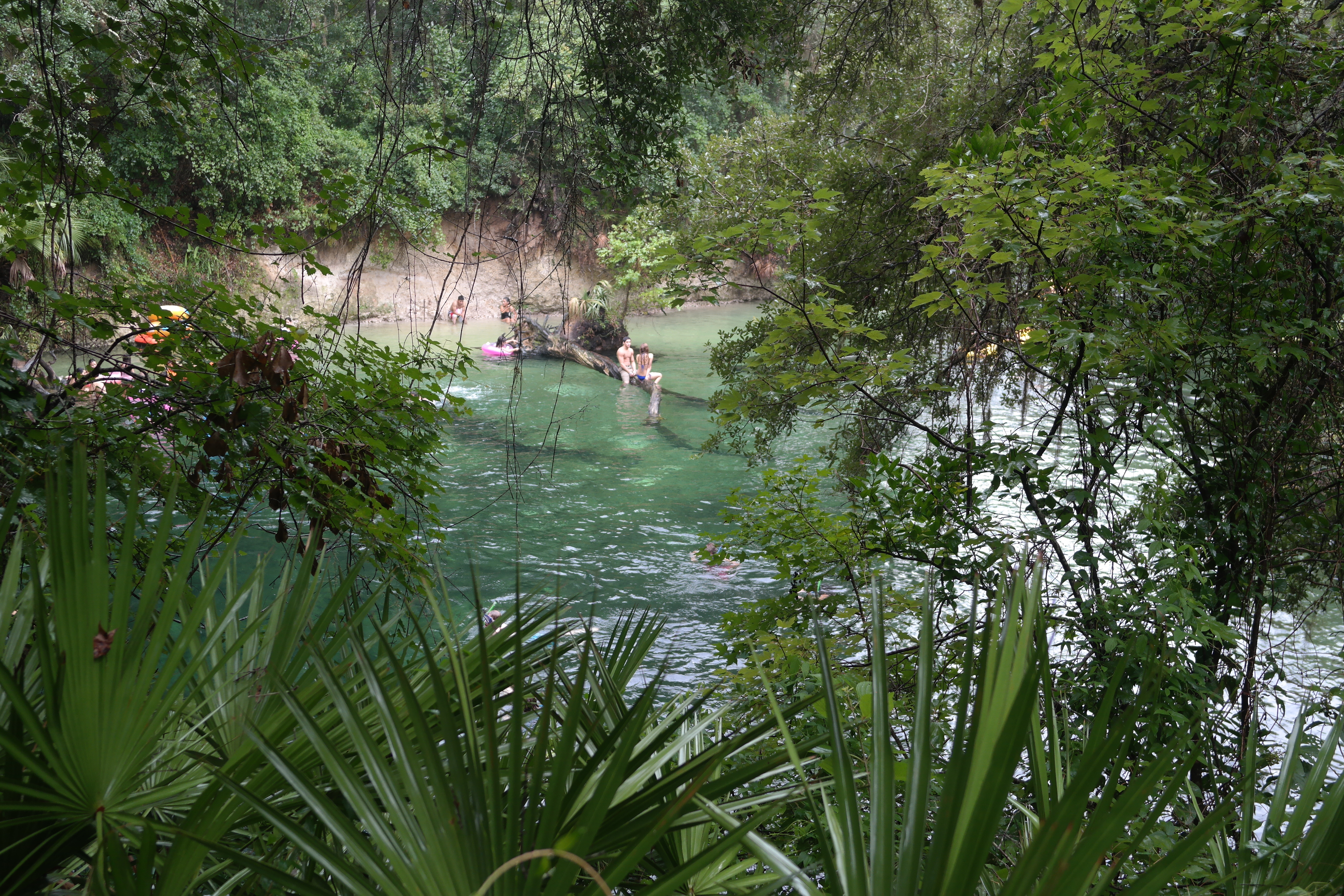 Blue Spring, Florida