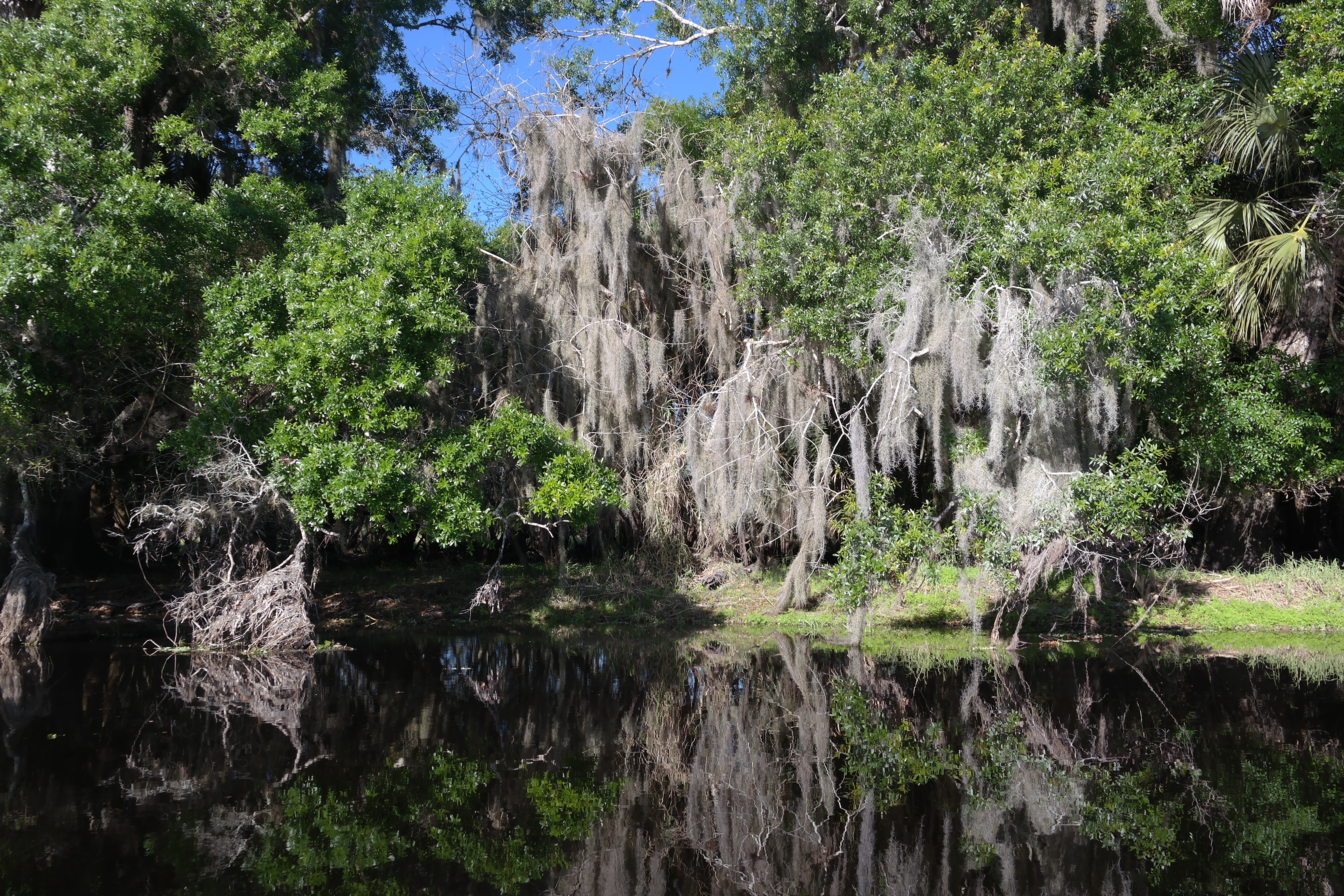 Myakka Kayaking