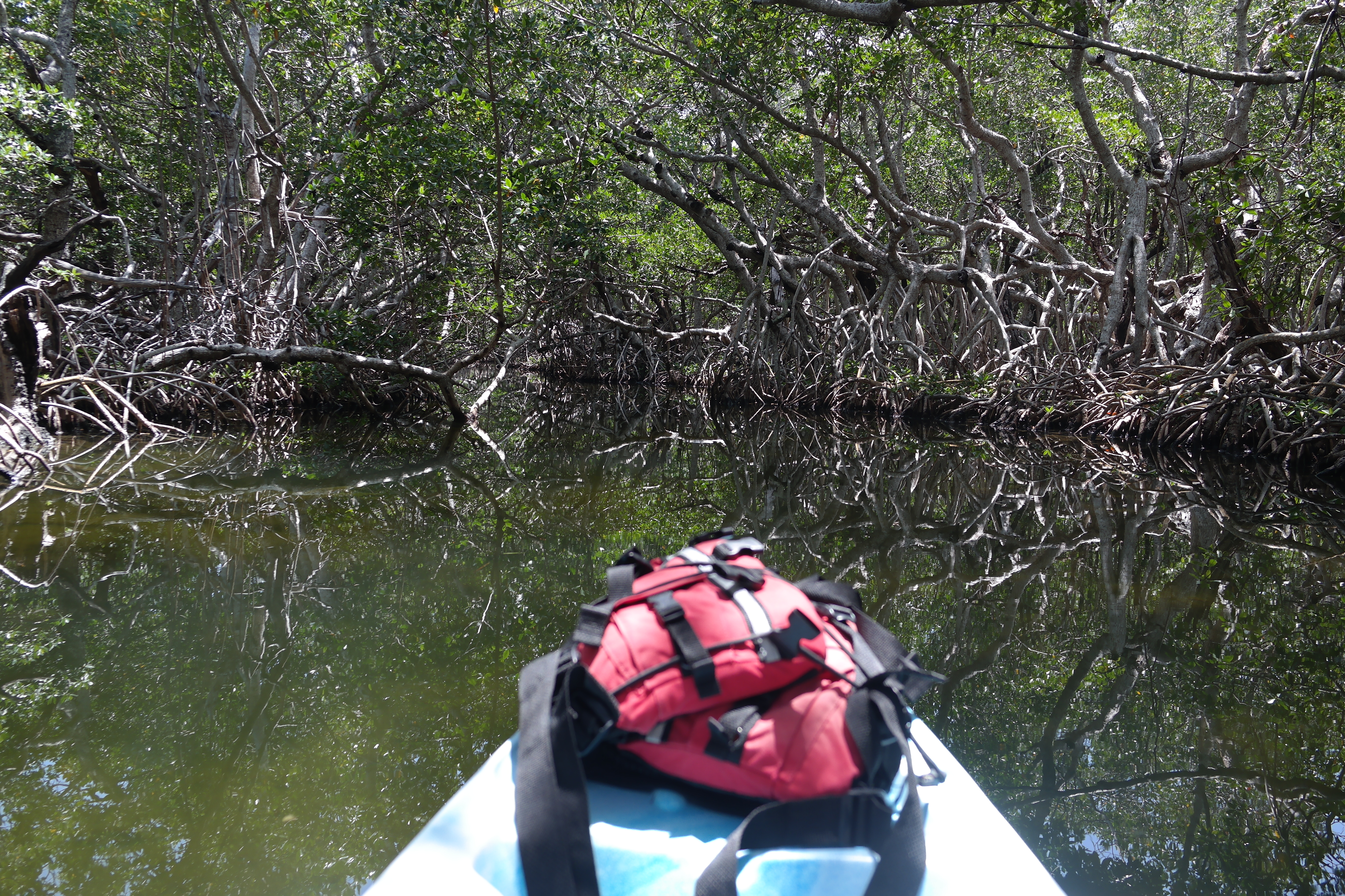 Dusenbury Creek