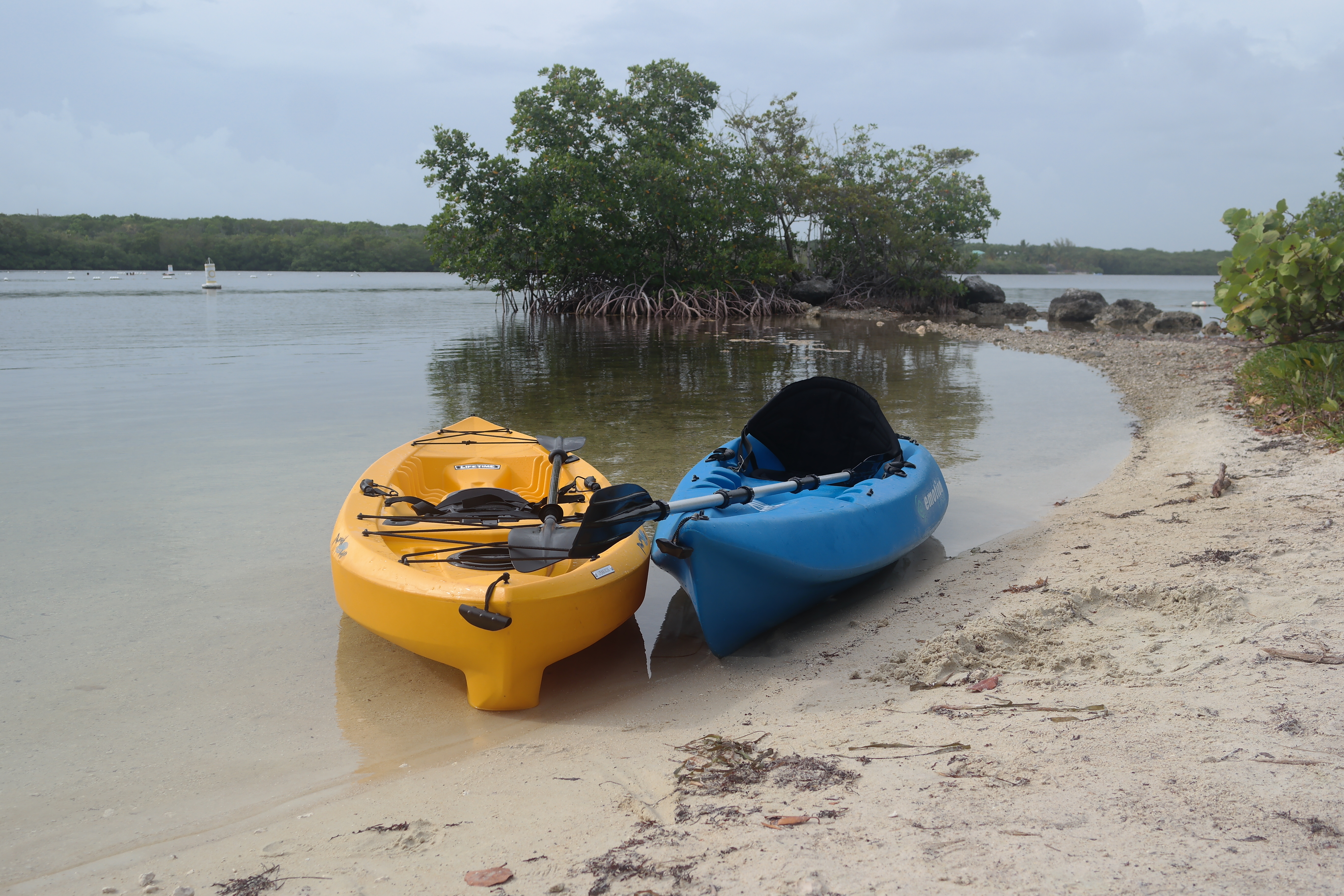 John Pennekamp Kayaking