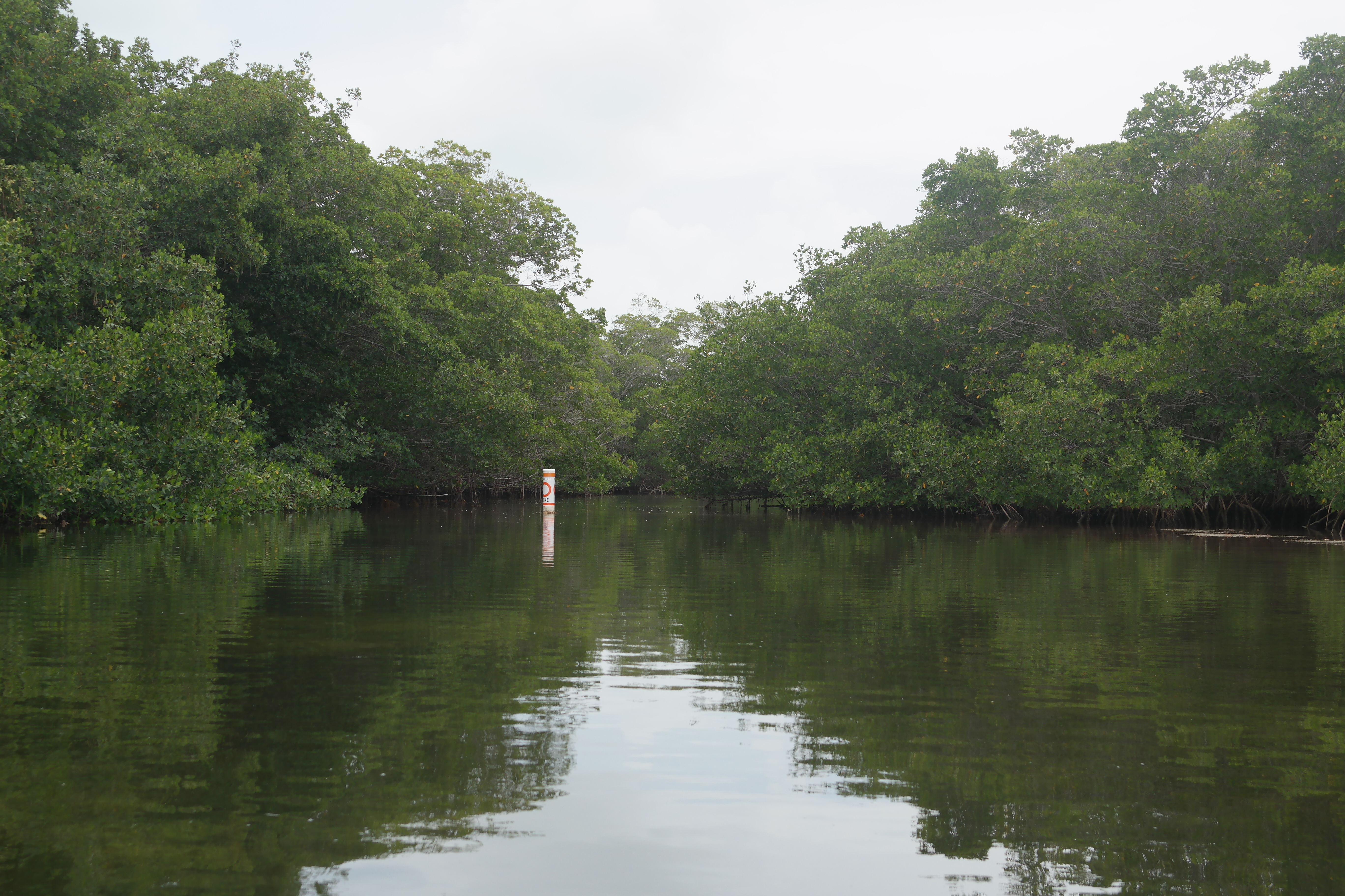 Stingray Creek Entrance