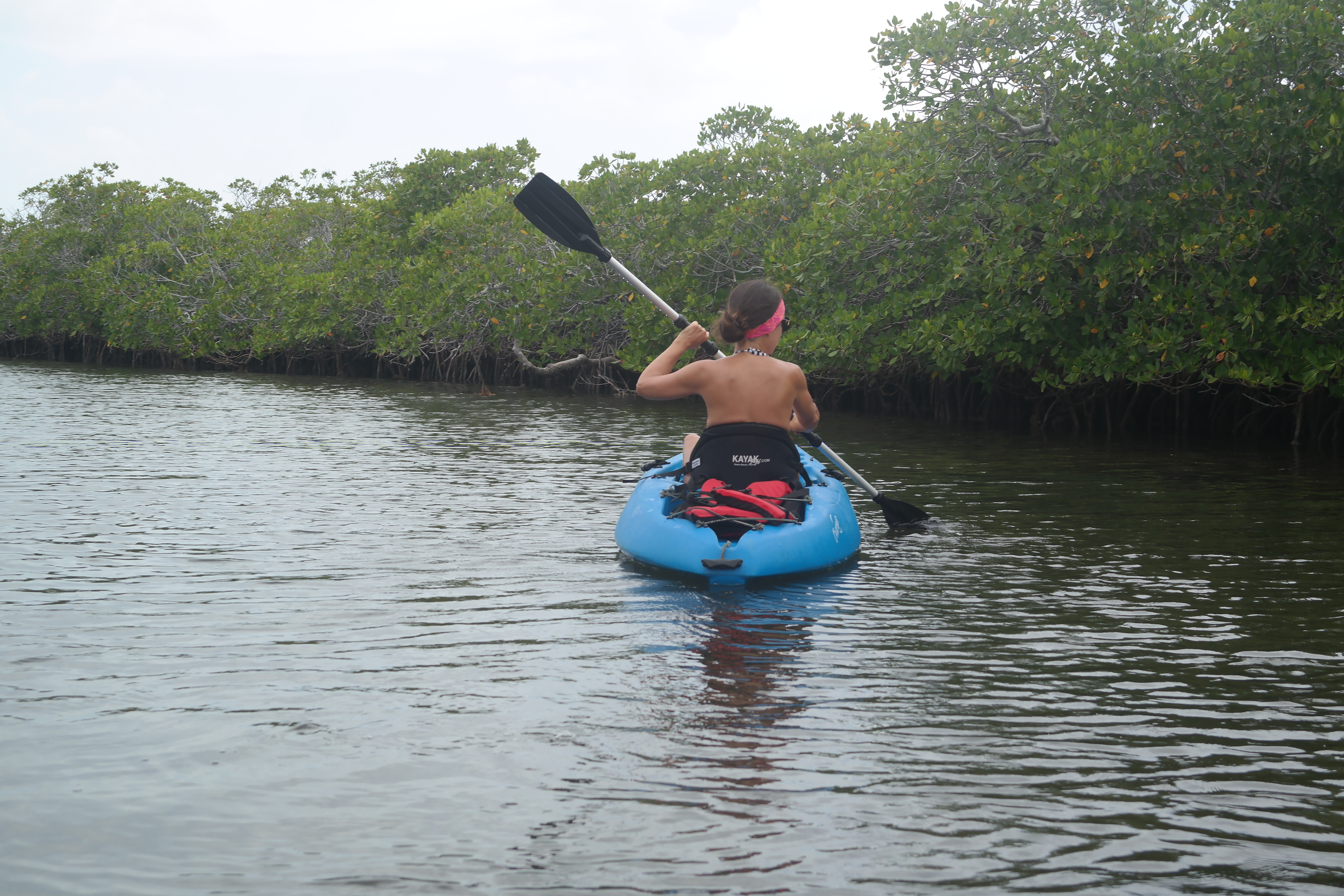 Kayaking Stingray Creek