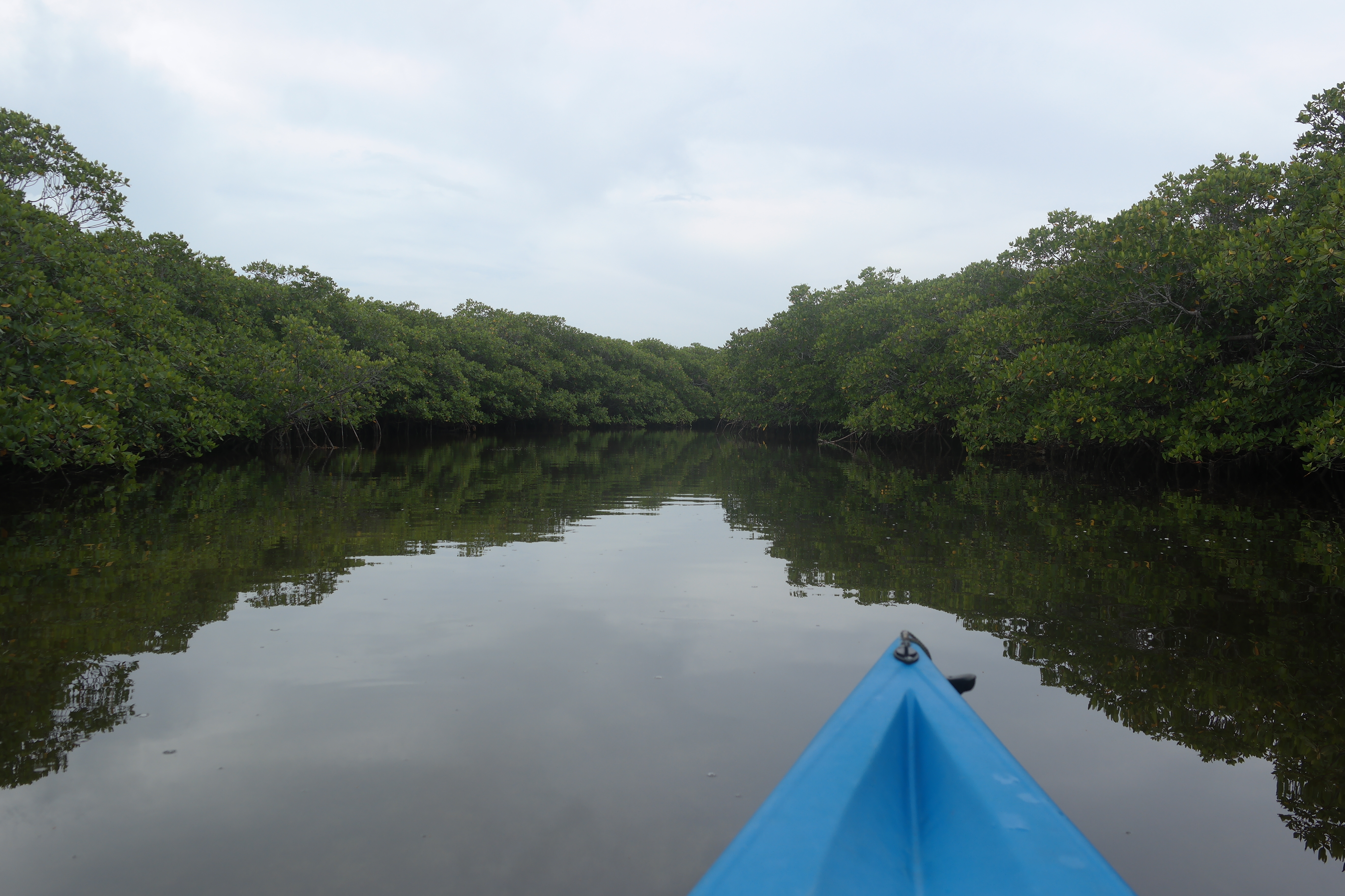 Deception Creek Key Largo