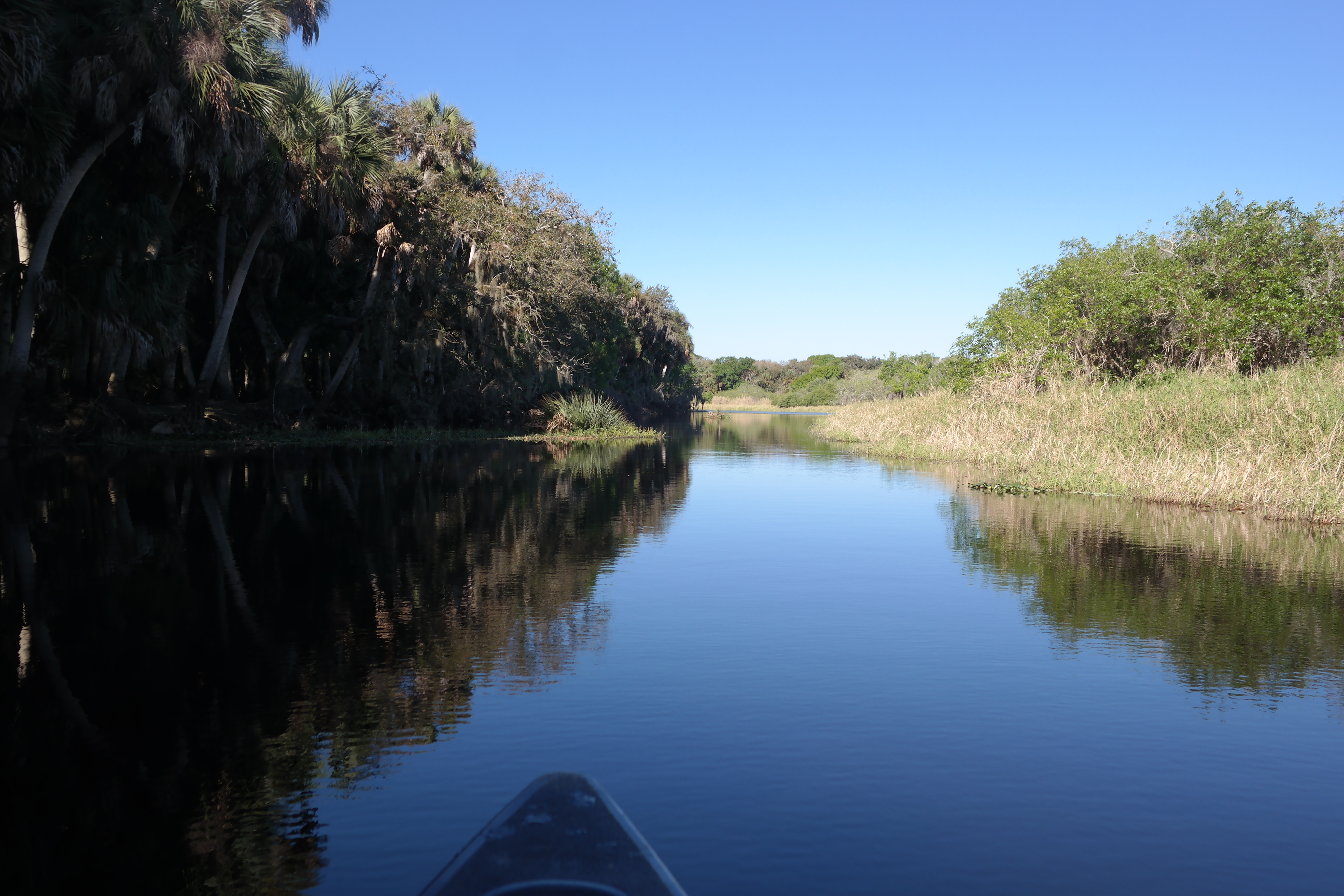 Beautiful Myakka River