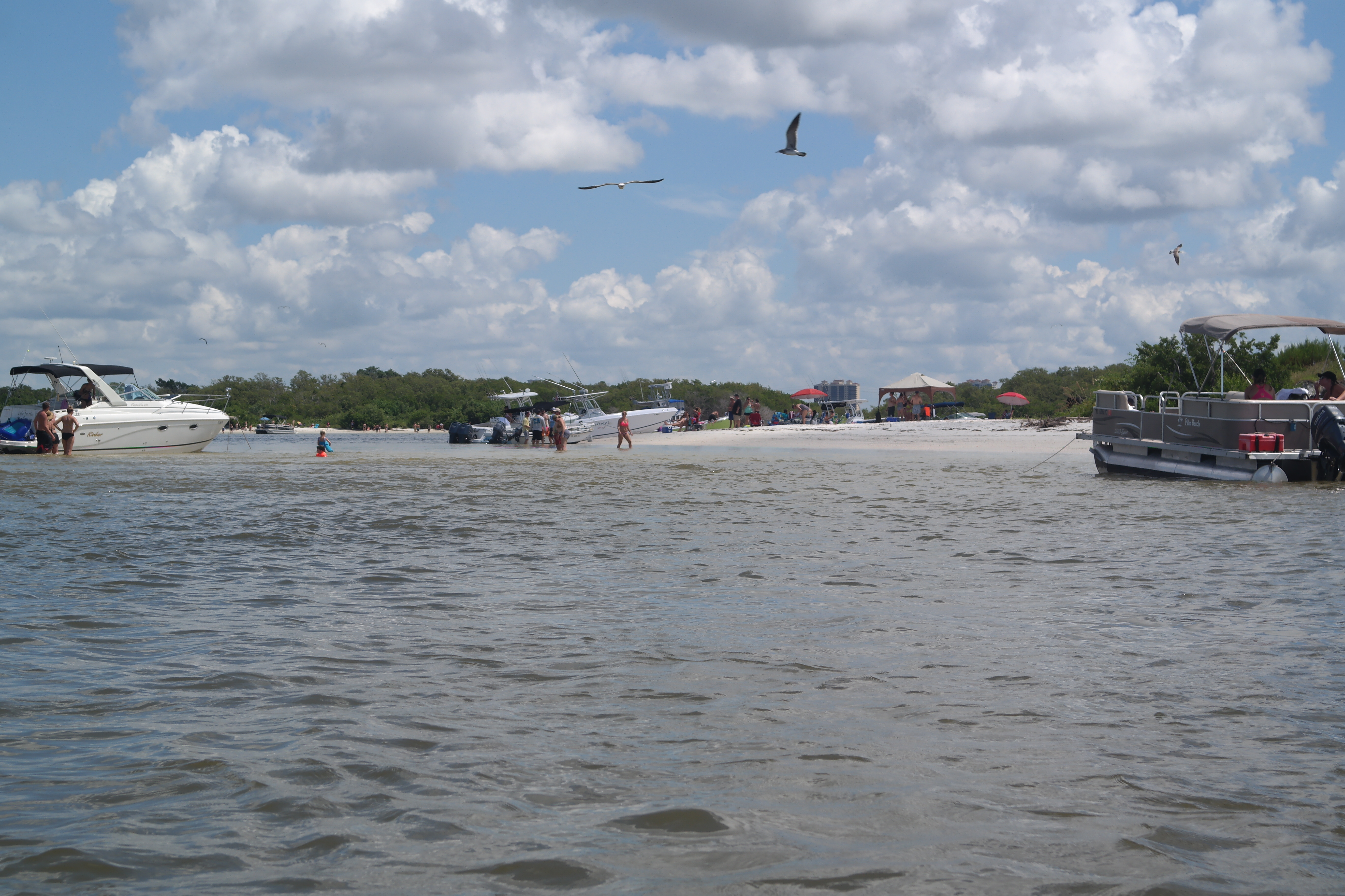 Pelican Landing Beach 