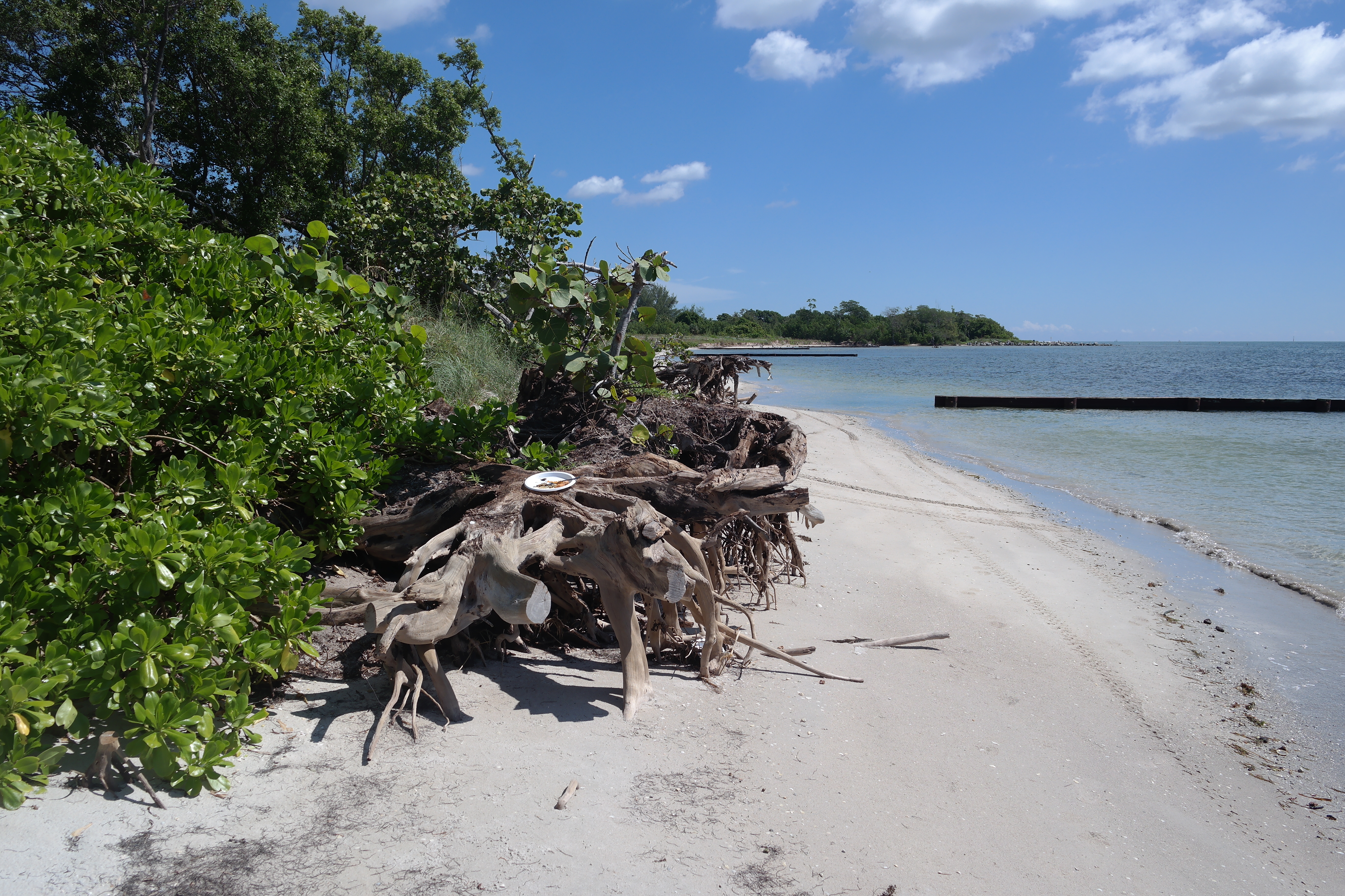 Virginia Key Beach Park