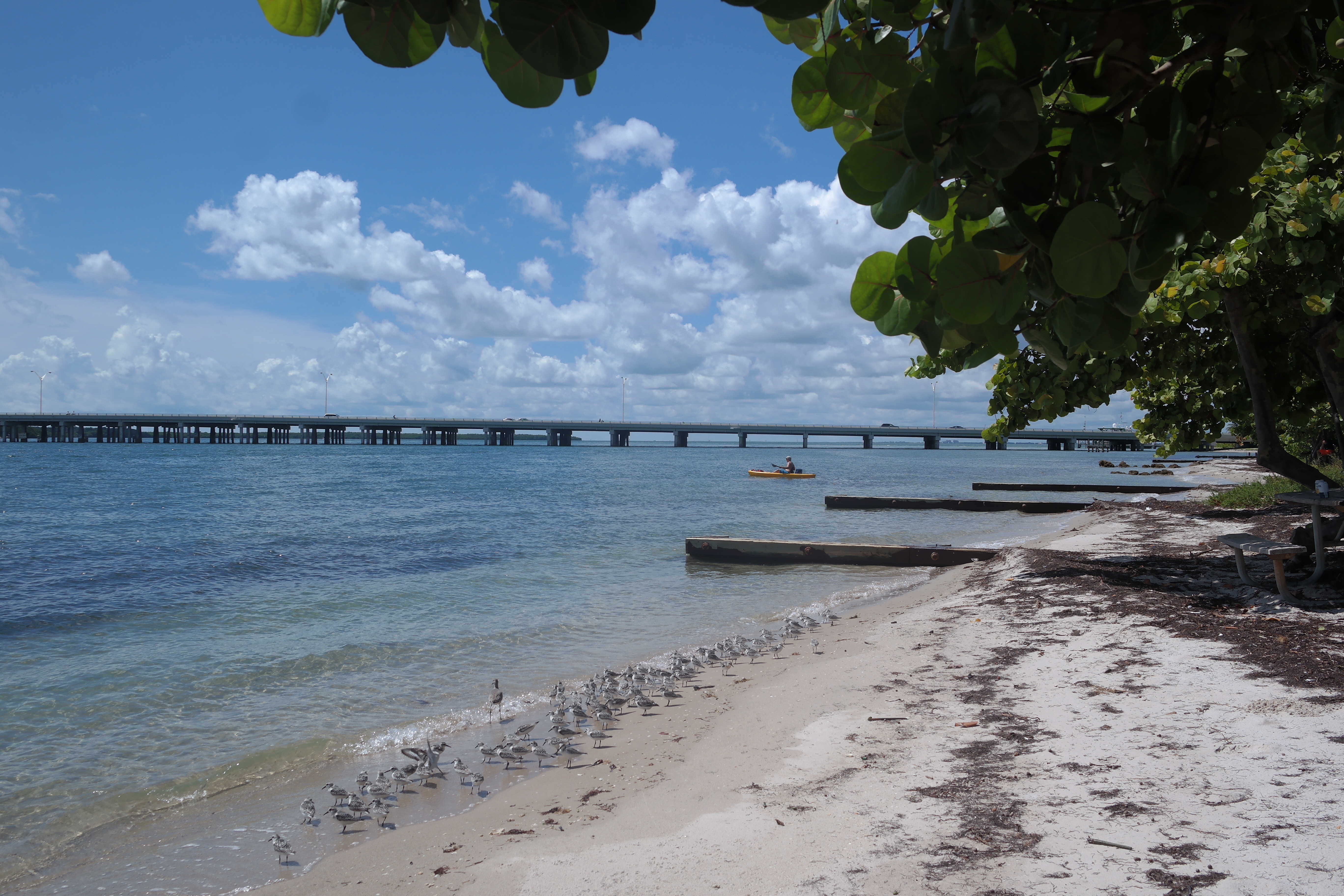 Virginia Key Beach