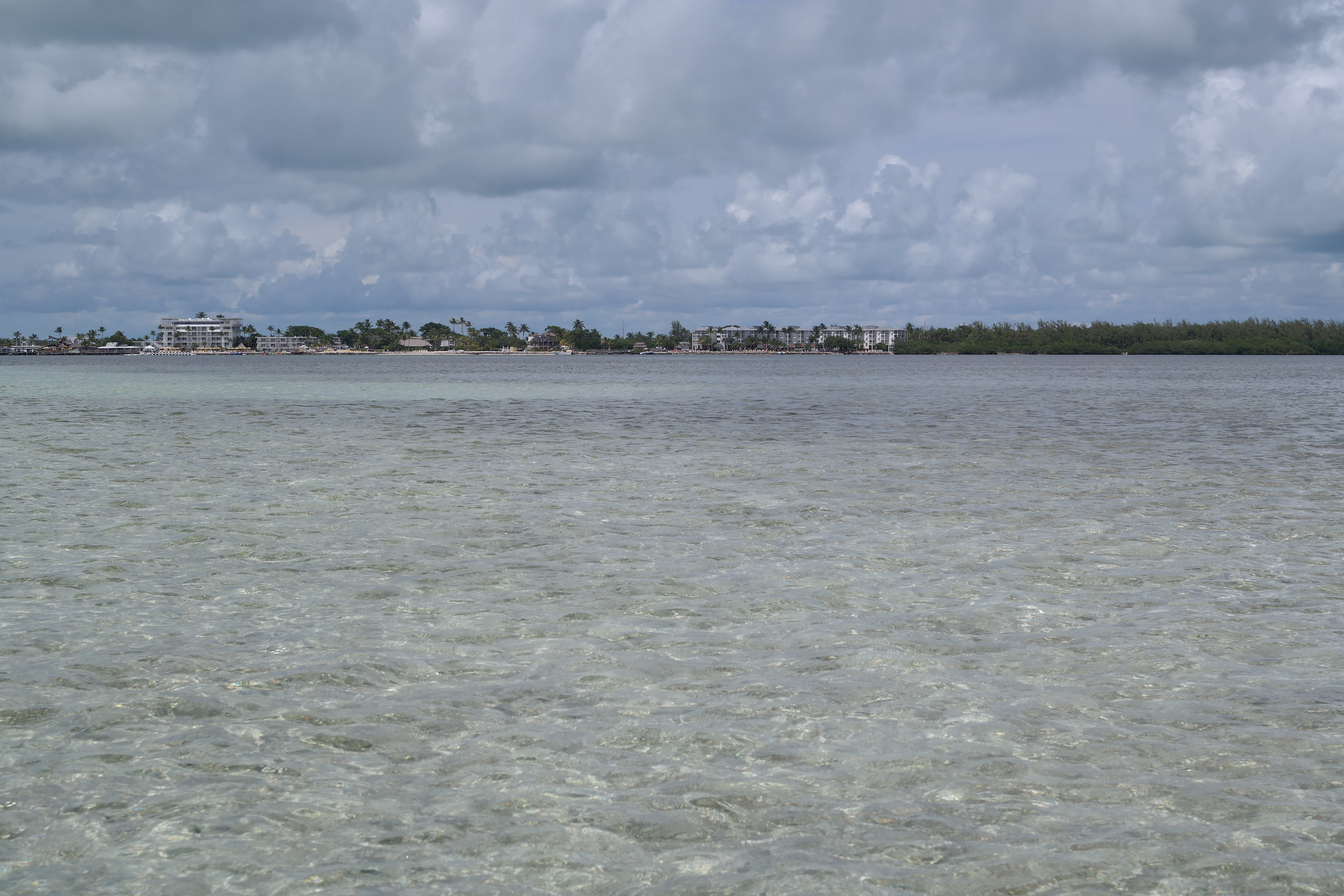 Islamorada Oceanside Waters