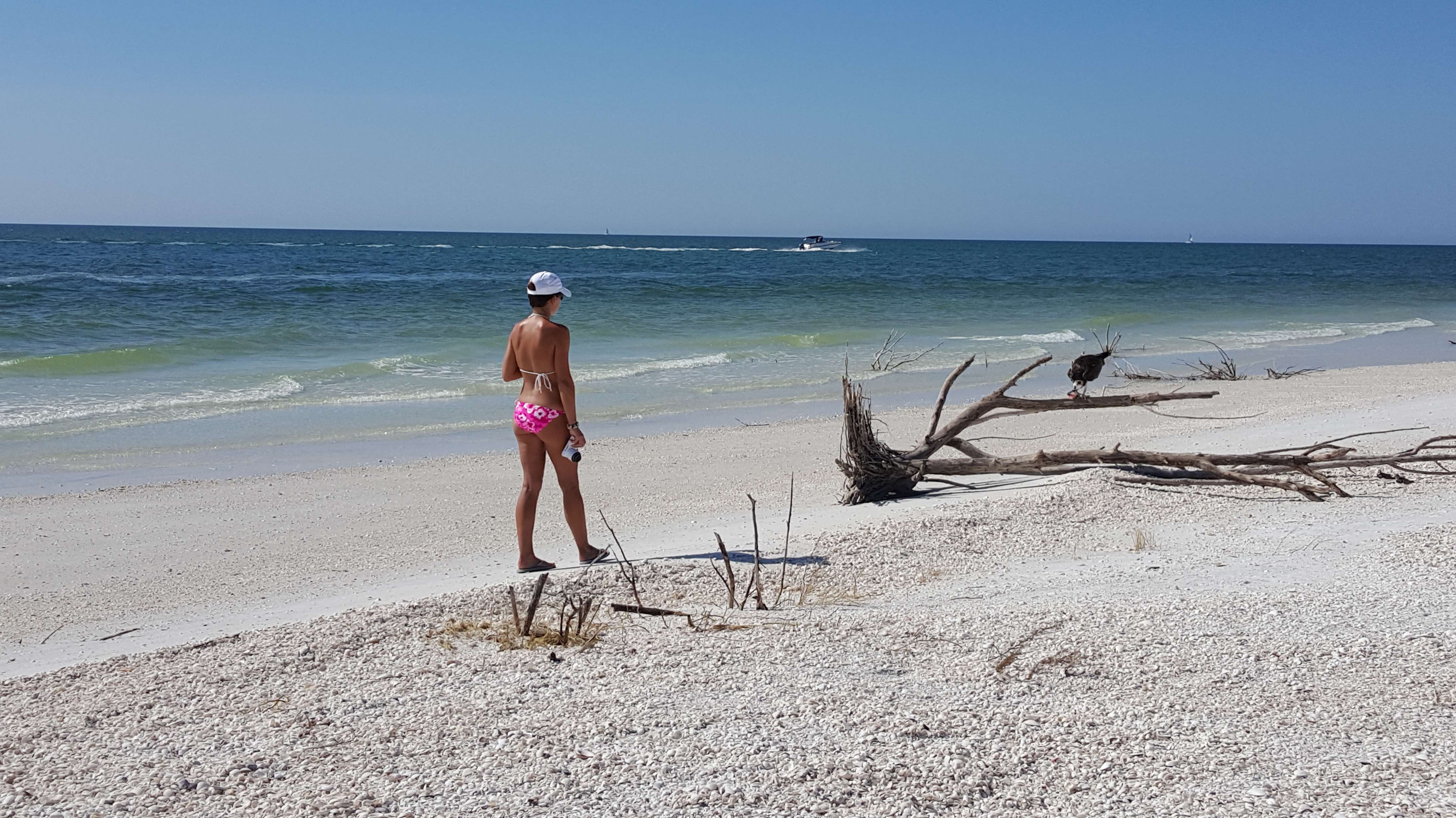 Marco Island Beach