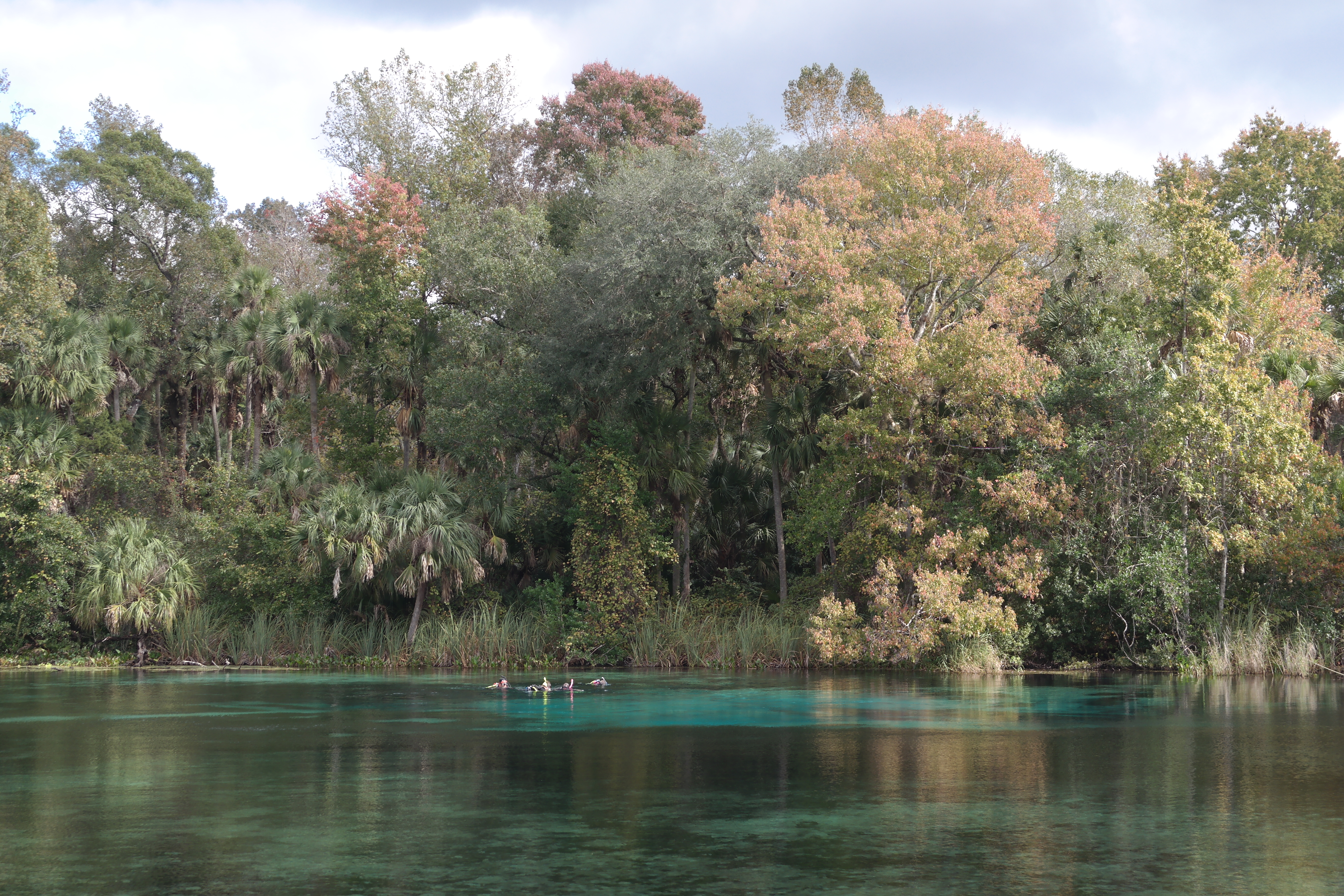 Alexander Springs