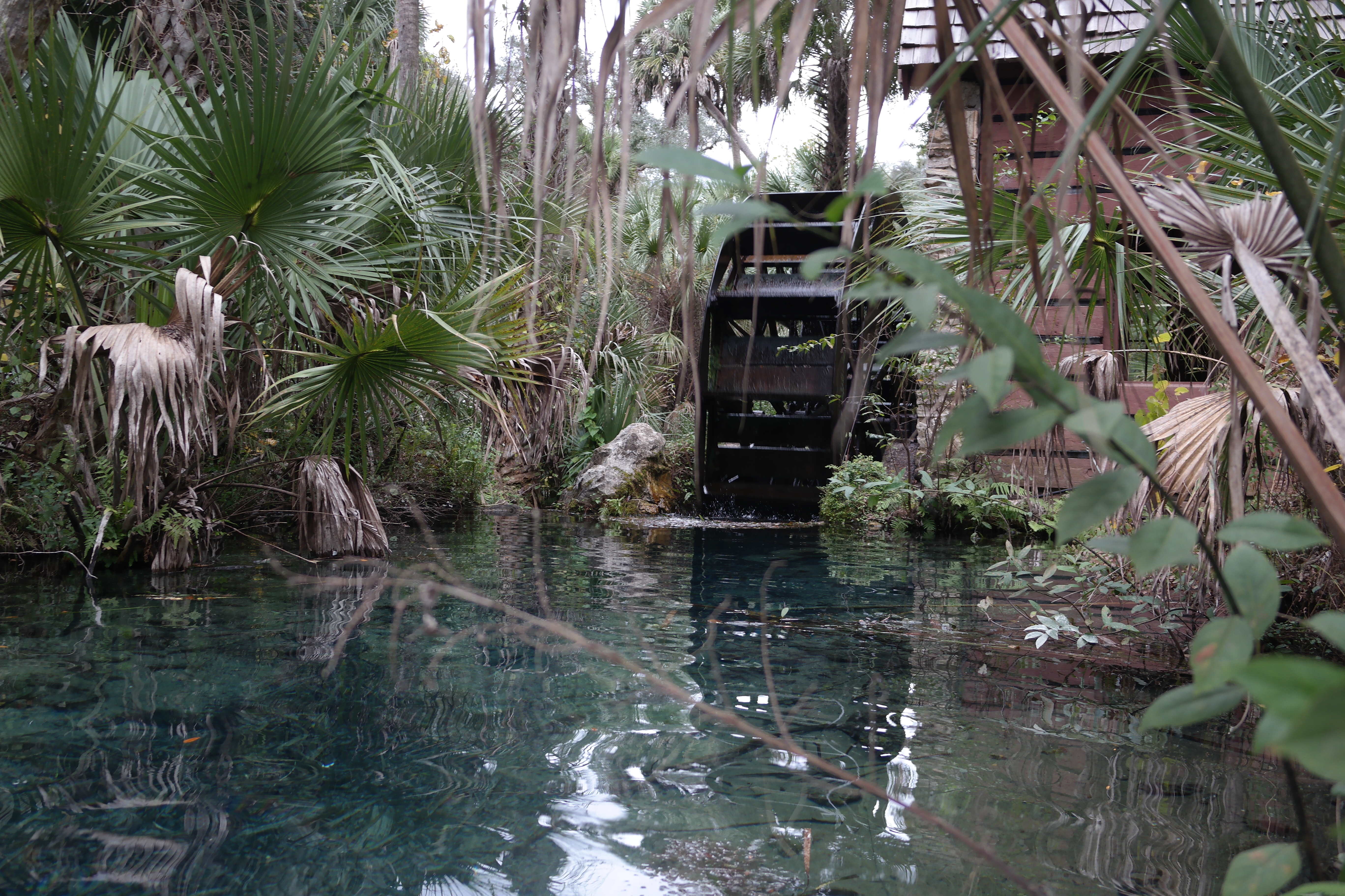 Juniper Springs Mill