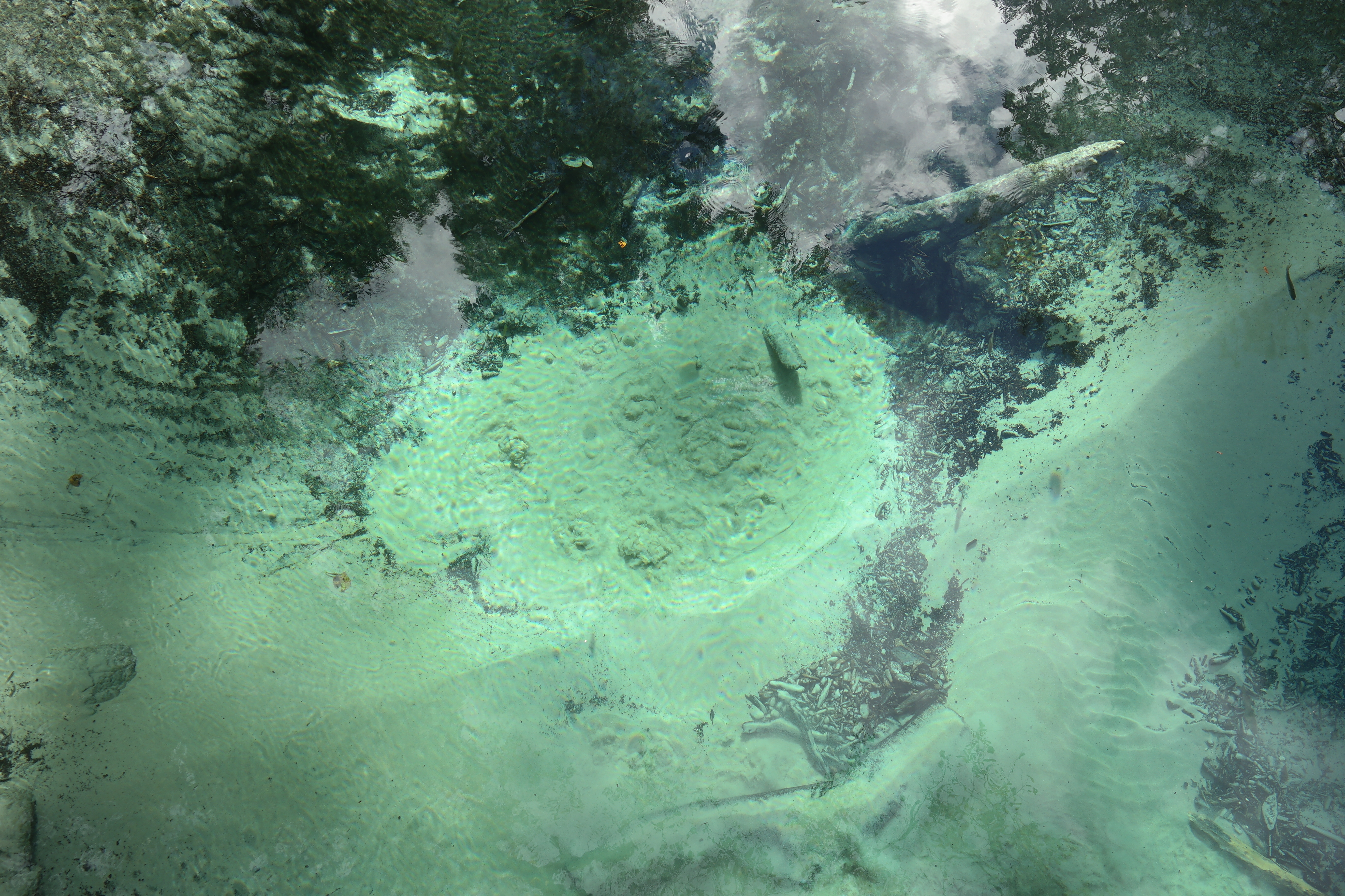 Sand Boils Juniper Springs