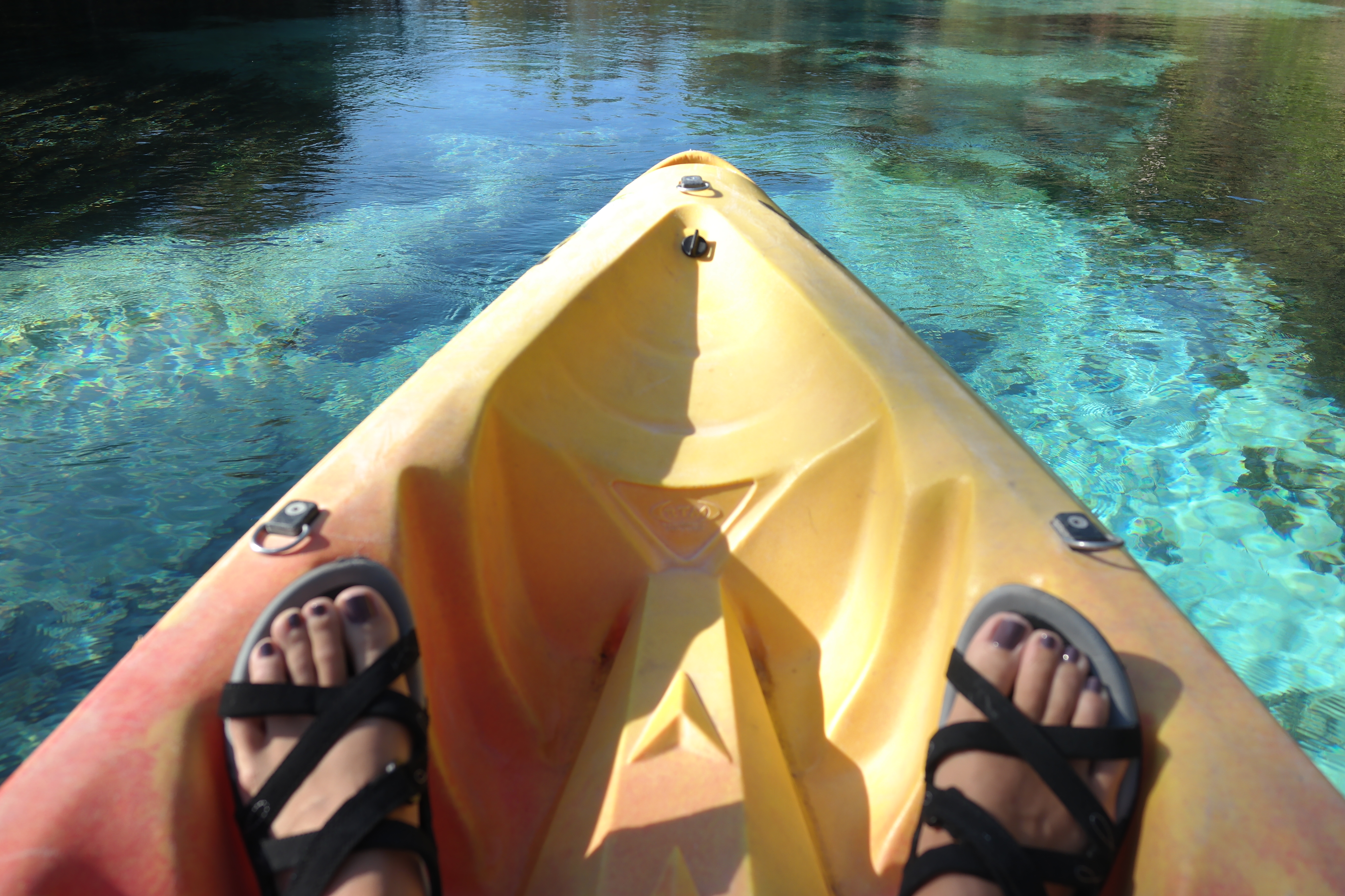 Kayaking Weeki Wachee