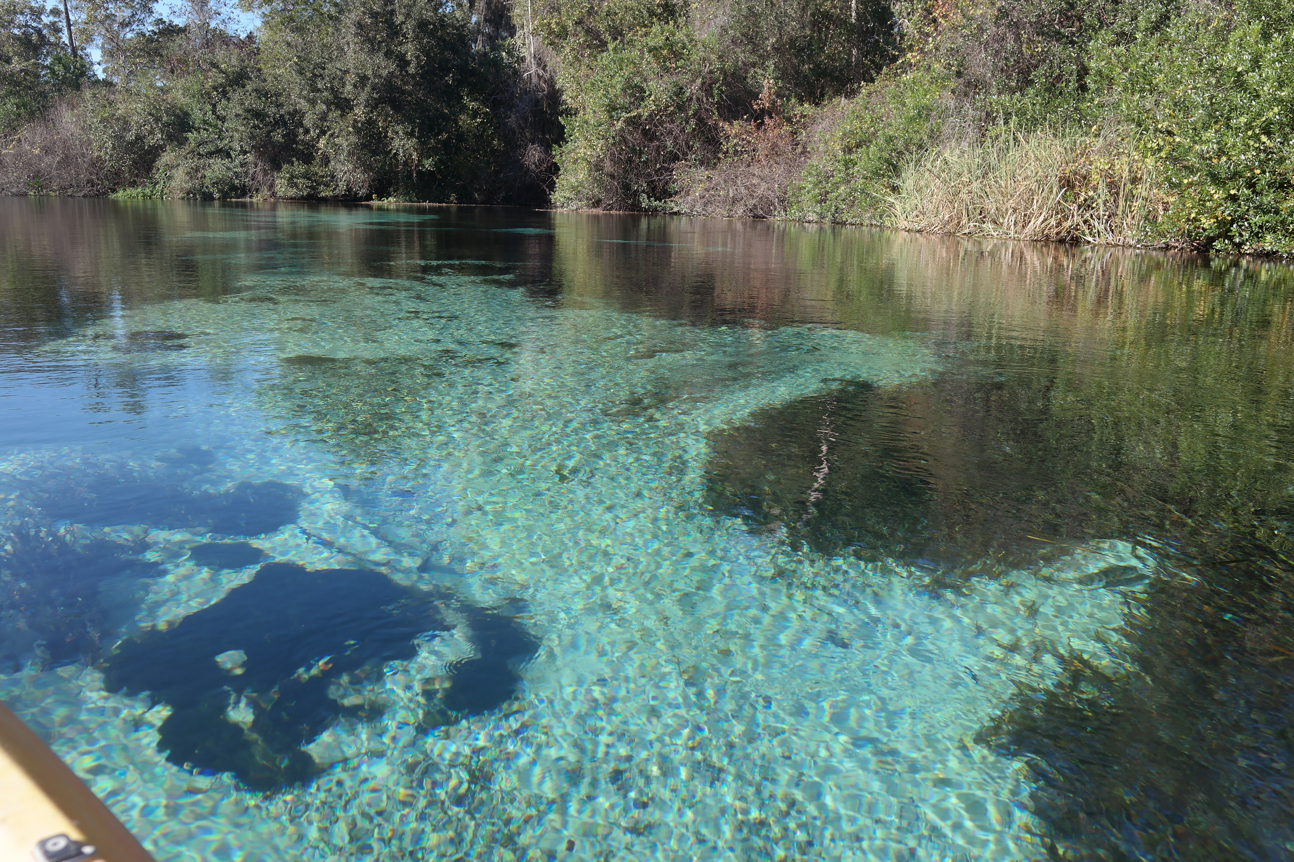 Weeki Wachee River