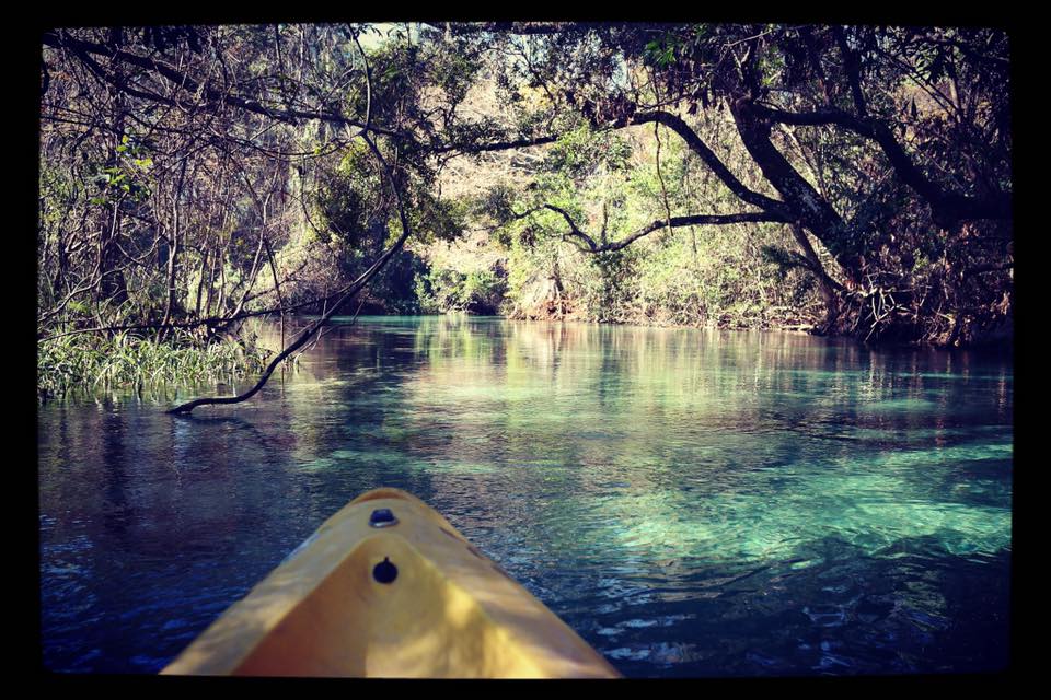 weeki wachee