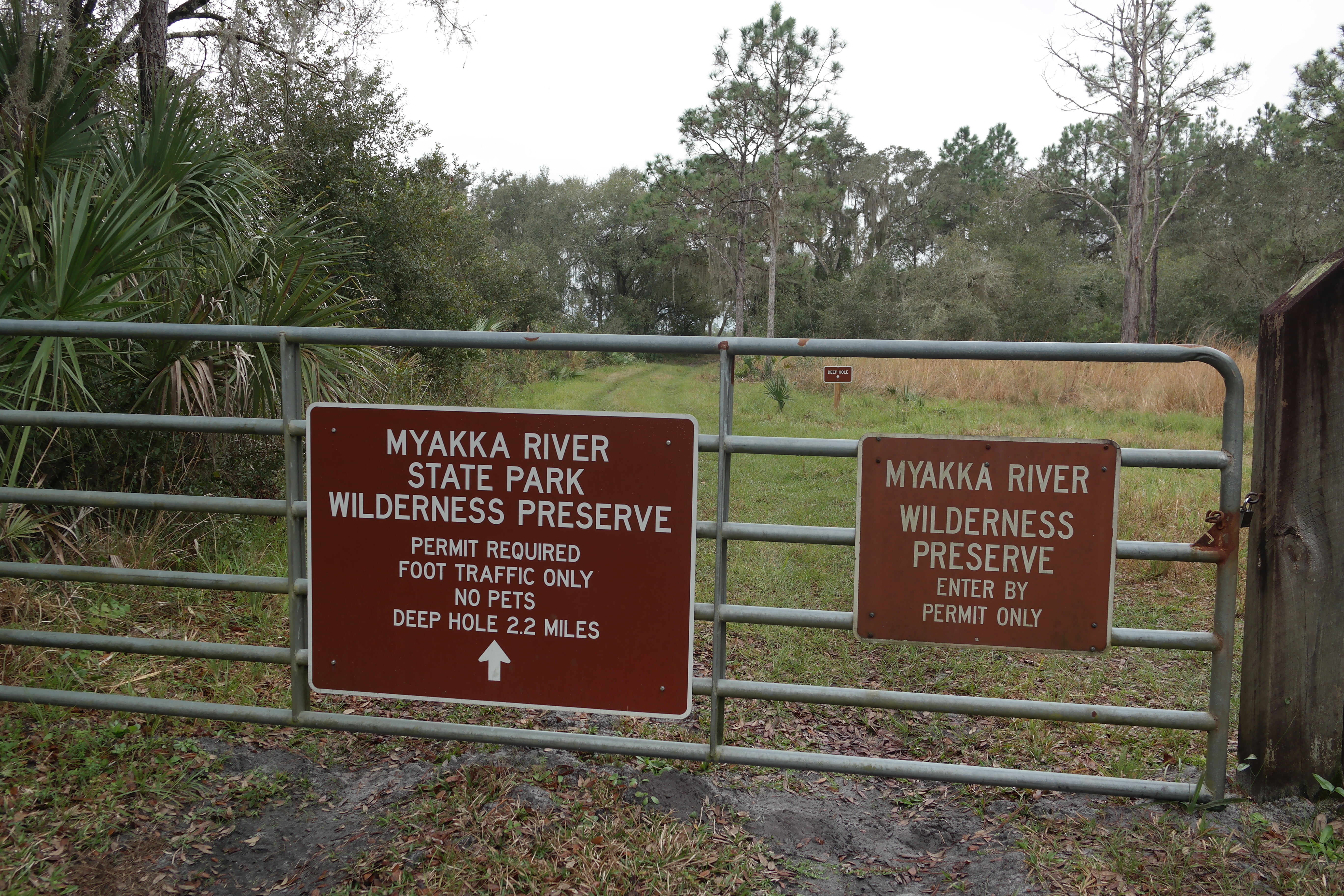 Myakka Wilderness Preserve