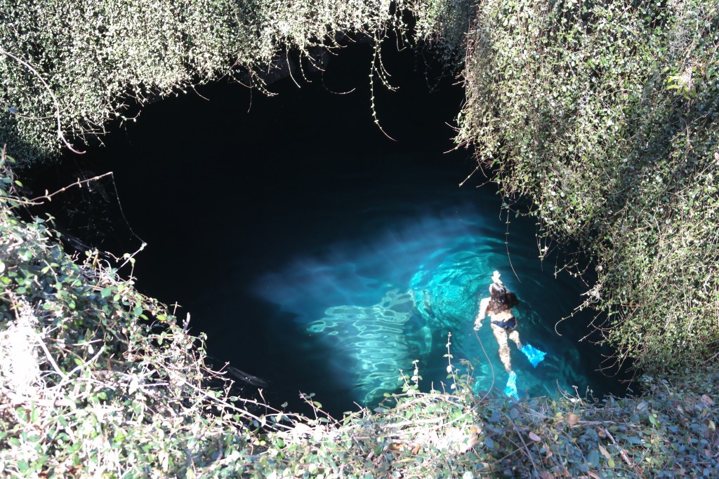 Devil's Den Springs