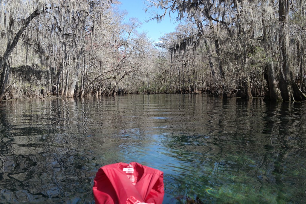 Manatee Springs Kayaking