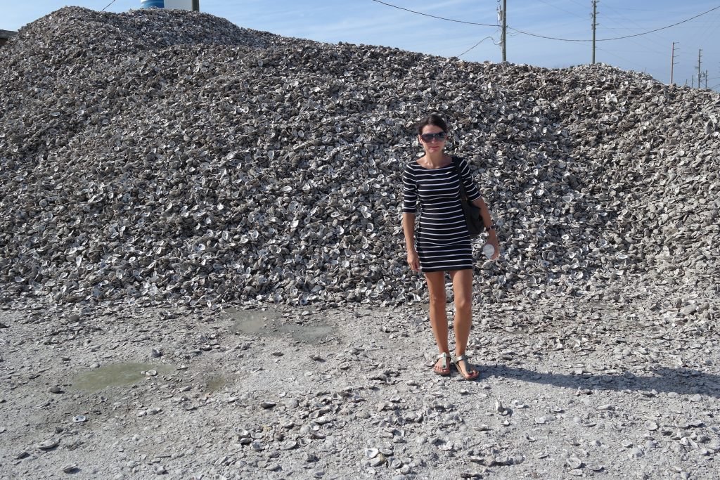 Oyster Mound in Apalachicola