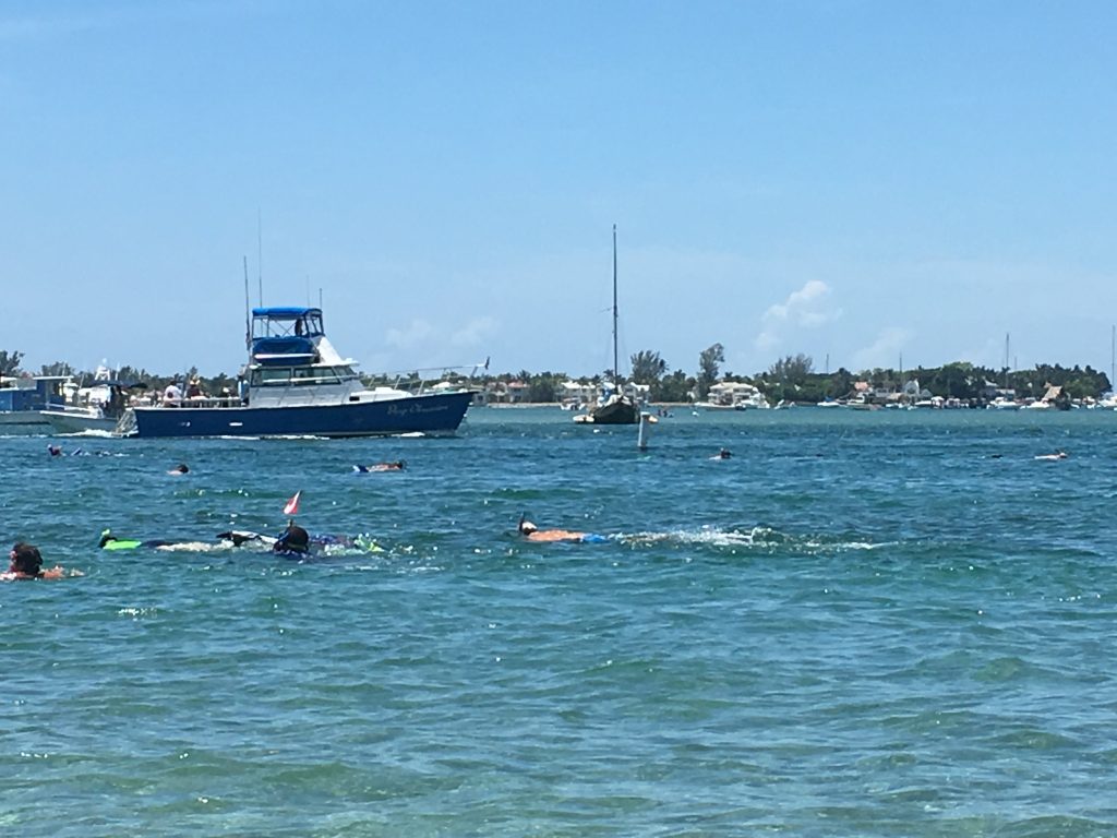 Snorkeling Phil Foster Park