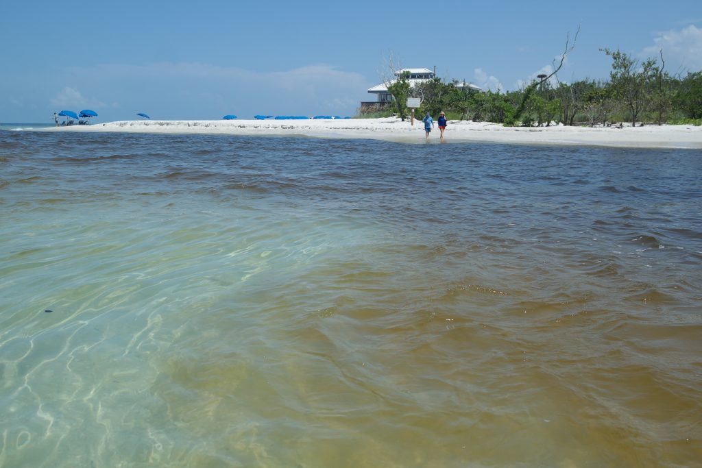 Tannin Water From Clam Pass