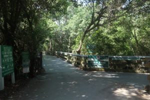 Clam Pass Boardwalk