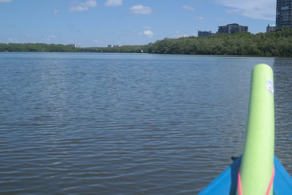 Mangroves