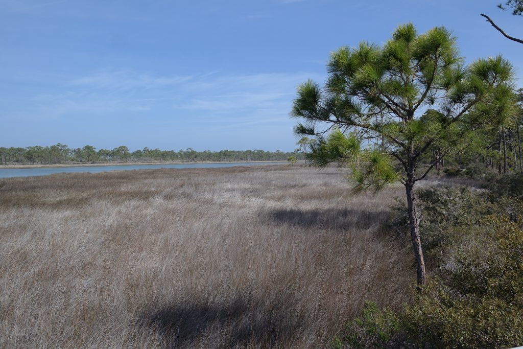 St George Island State Park