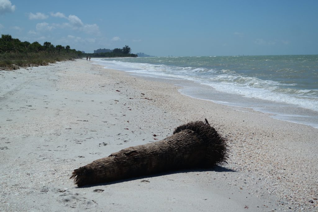 Barefoot Beach Preserve