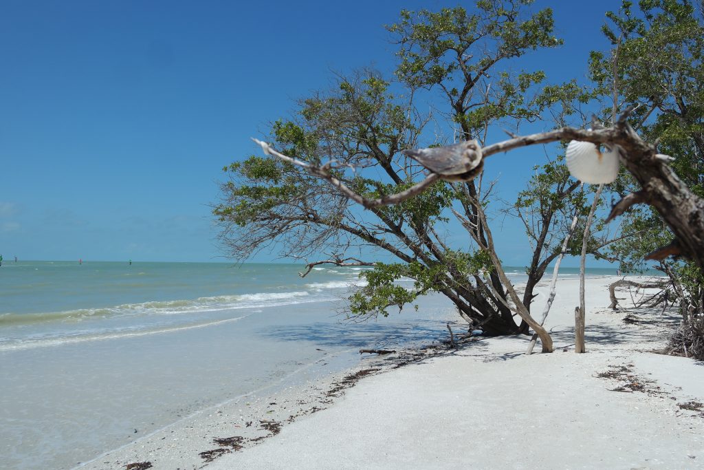 Barefoot Beach Preserve