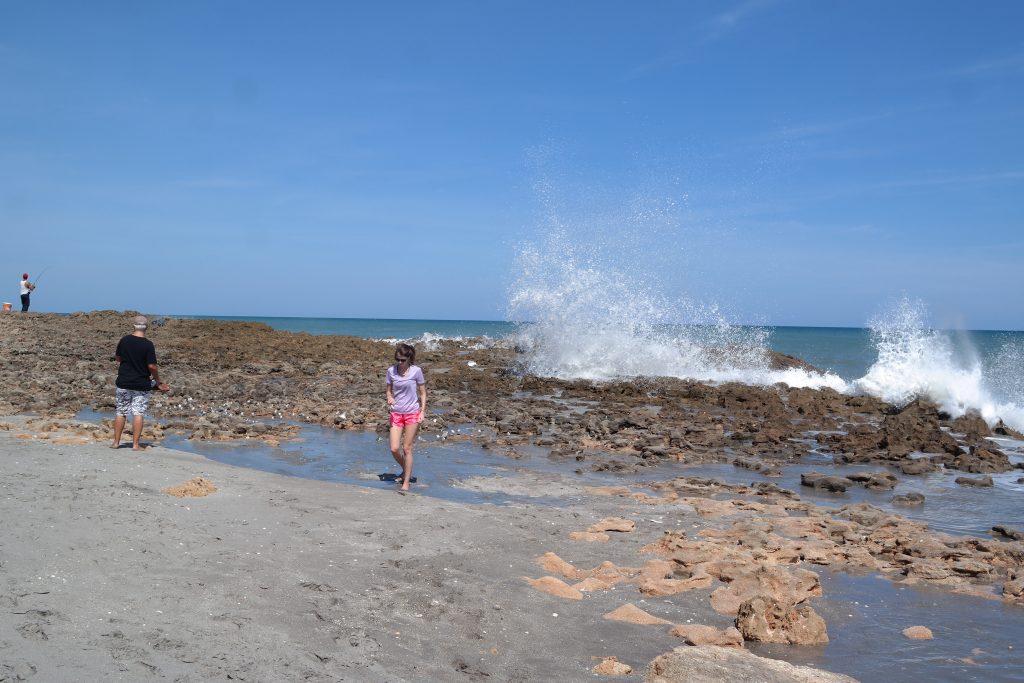 Blowing Rocks Preserve