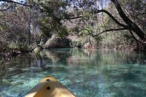 weeki wachee tamarascharf